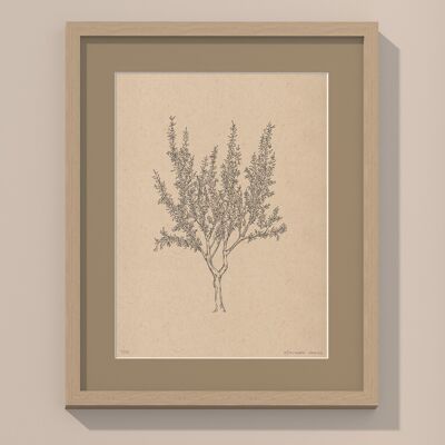 Drucken Mandelbaum mit Passepartout und Rahmen | 40cm x 50cm | Linoleum