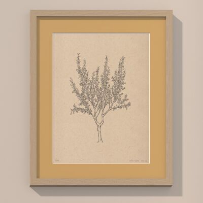 Print Almond tree with passe-partout and frame | 40cm x 50cm | noce
