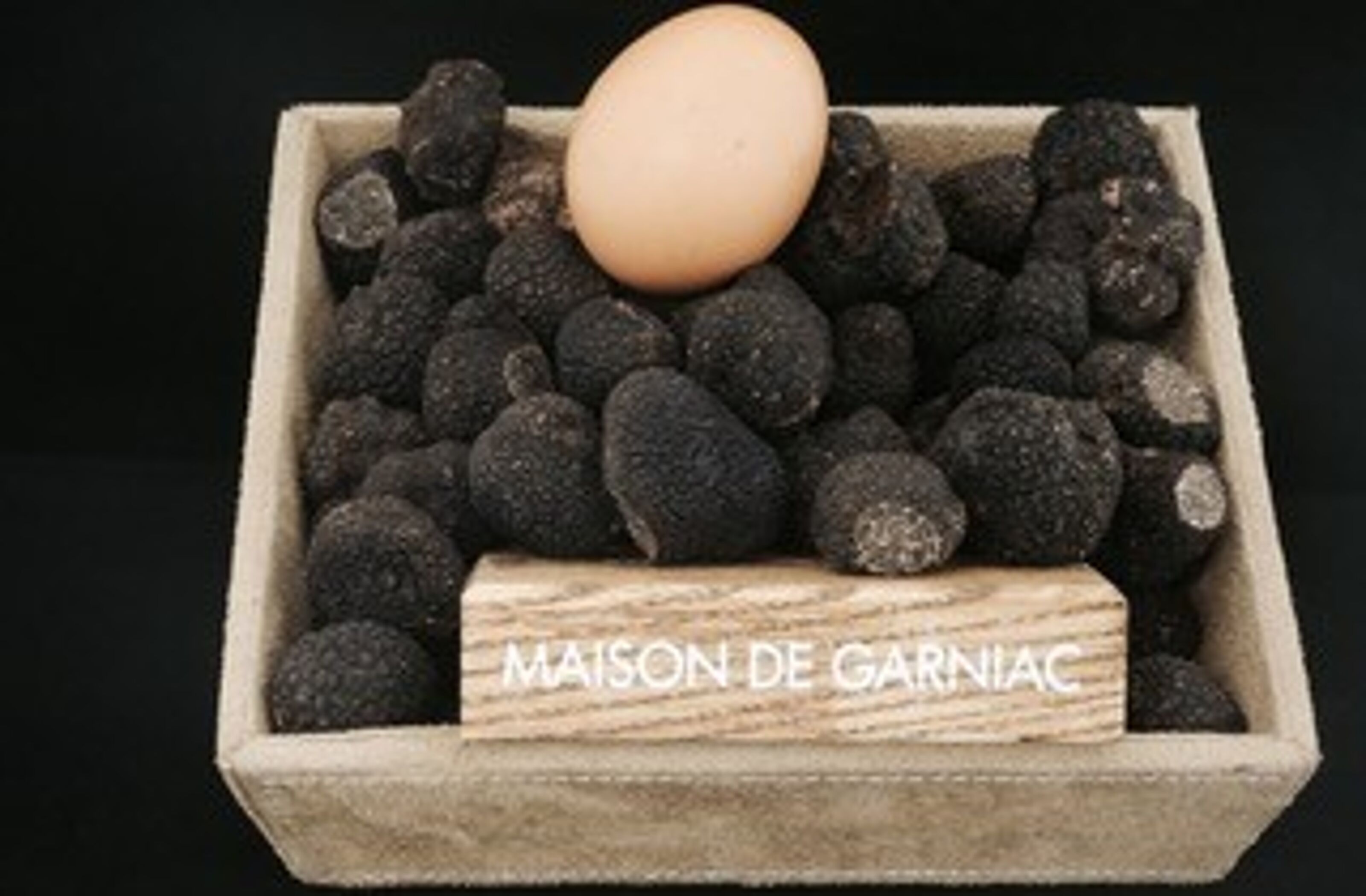 Acheter Truffe noire fraîche Tuber Melanosporum