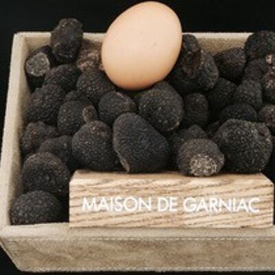 Fresh brushed black truffles in 50g bags (tuber melanosporum) -