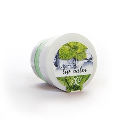 Lip Balm - Fresh Mint Flavor, 30 ml