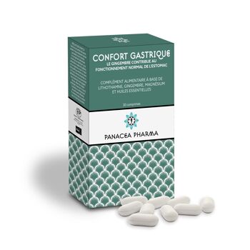 CONFORT GASTRIQUE comprimés