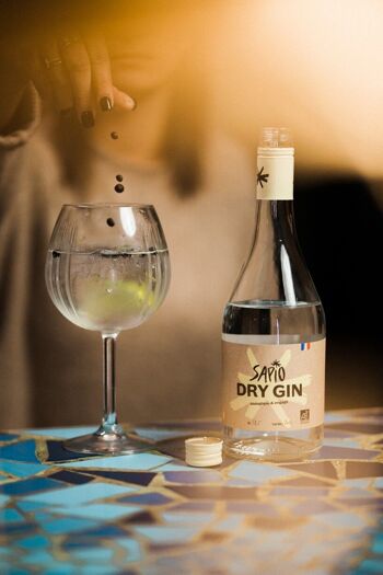 Dry Gin Français & Bio 6