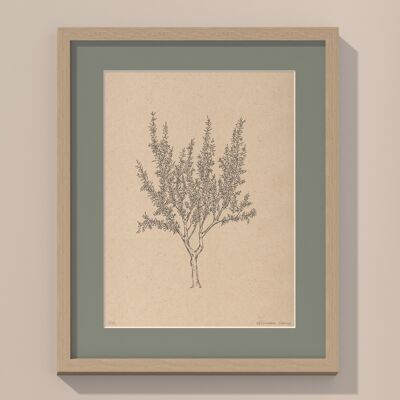 Print Almond tree with passe-partout and frame | 40cm x 50cm | salvia