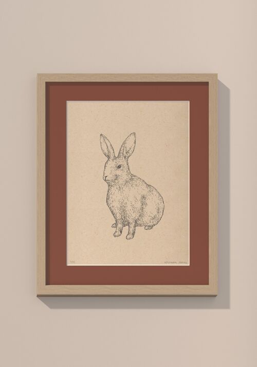 Print konijn met passe-partout en lijst | 40 cm x 50 cm | Casa Otelli