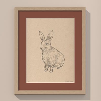 Print rabbit with passe-partout and frame | 40cm x 50cm | Casa Otellic