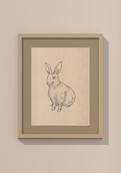 Print konijn met passe-partout en lijst | 40 cm x 50 cm | Lino