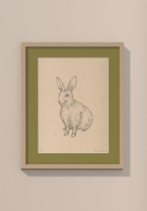Print konijn met passe-partout en lijst | 40 cm x 50 cm | Olivo