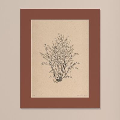 Drucken Haselnussbaum mit Passepartout | 40cm x 50cm | Casa Otellic