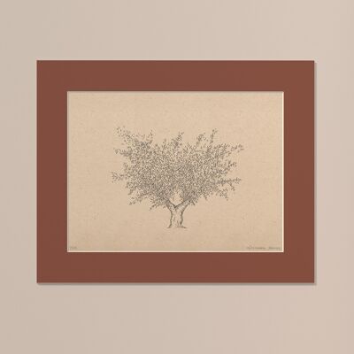 Print Olive tree with passe-partout | 40cm x 50cm | Casa Otellic