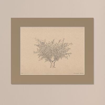 Print Olive tree with passe-partout | 40cm x 50cm | lino