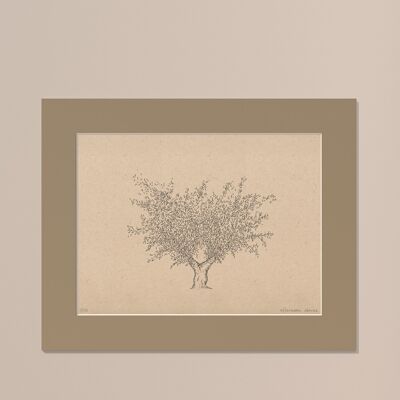 Drucken Olivenbaum mit Passepartout | 40cm x 50cm | Linoleum