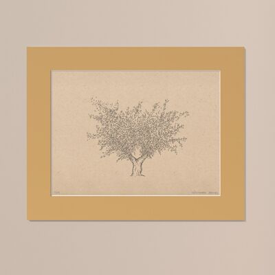 Print Olive tree with passe-partout | 40cm x 50cm | noce