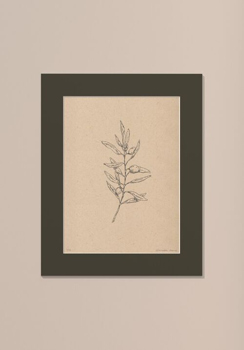 Print Olijftak met passe-partout | 40 cm x 50 cm | Cavolo Nero