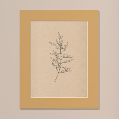 Print Olive branch with passe-partout | 40cm x 50cm | noce