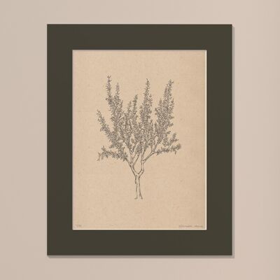 Drucken Mandelbaum mit Passepartout | 40cm x 50cm | Cavolo Nero