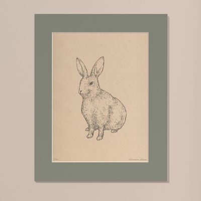 Kaninchen mit Passepartout drucken | 40cm x 50cm | salvia