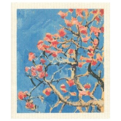 Dishcloth Coral Tree in Blossom
