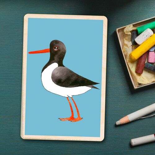 Wooden Postcard OYSTERCATCHER Bird Card