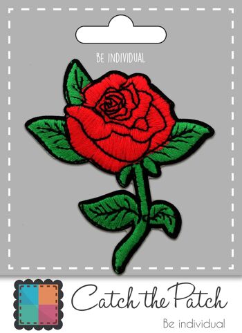 Fleur de rose-A0133roses
