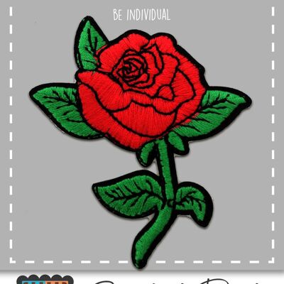 Rose Blume-A0133roses