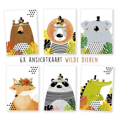 Kimago.nl -  Ansichtkaart -  6 stuks  -  Wilde dieren -  verjaardag -  algemeen