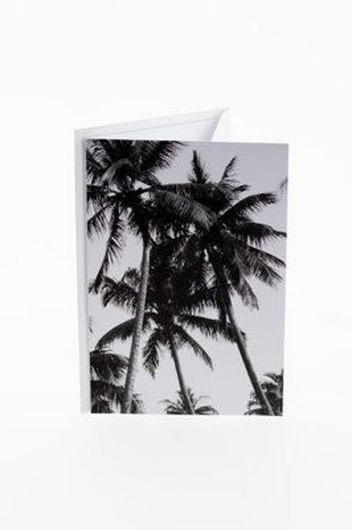 Connect cards - Palm tree