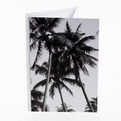 Connect cards - Palm tree