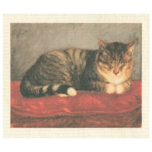 Dishcloth Reposing Cat Mosse