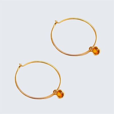 Lakshmi Hoop Earrings 'Brass'