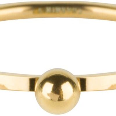 R529 Dot Ring Gold Steel
