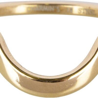 R553 Half Moon Plain Gold Steel