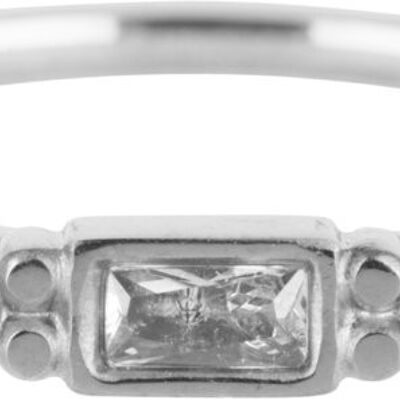 R618 Royal Rectangle Shiny Steel Crystal CZ