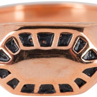 R675 Fancy Seal Rose Gold Steel