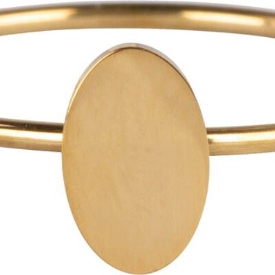 R719 Minimalist Oval Gold Steel