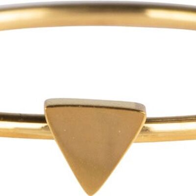 R723 Minimalist Triangle Gold Steel