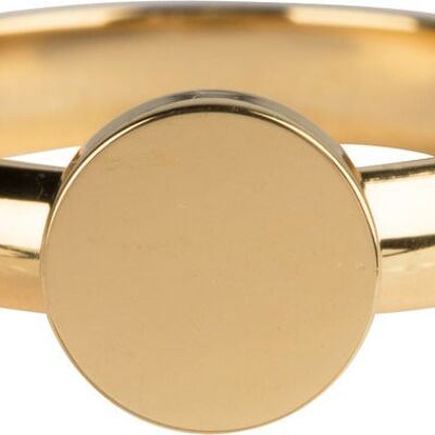 R827 Pudgy Seal Ring Round  Gold Steel
