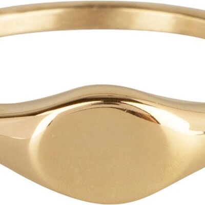 R976 Zegelring petite ovaal gold