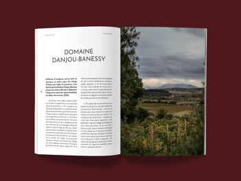Le guide PINARD - Guide sur le vin nature - 132 pages 6