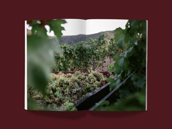 Le guide PINARD - Guide sur le vin nature - 132 pages 5