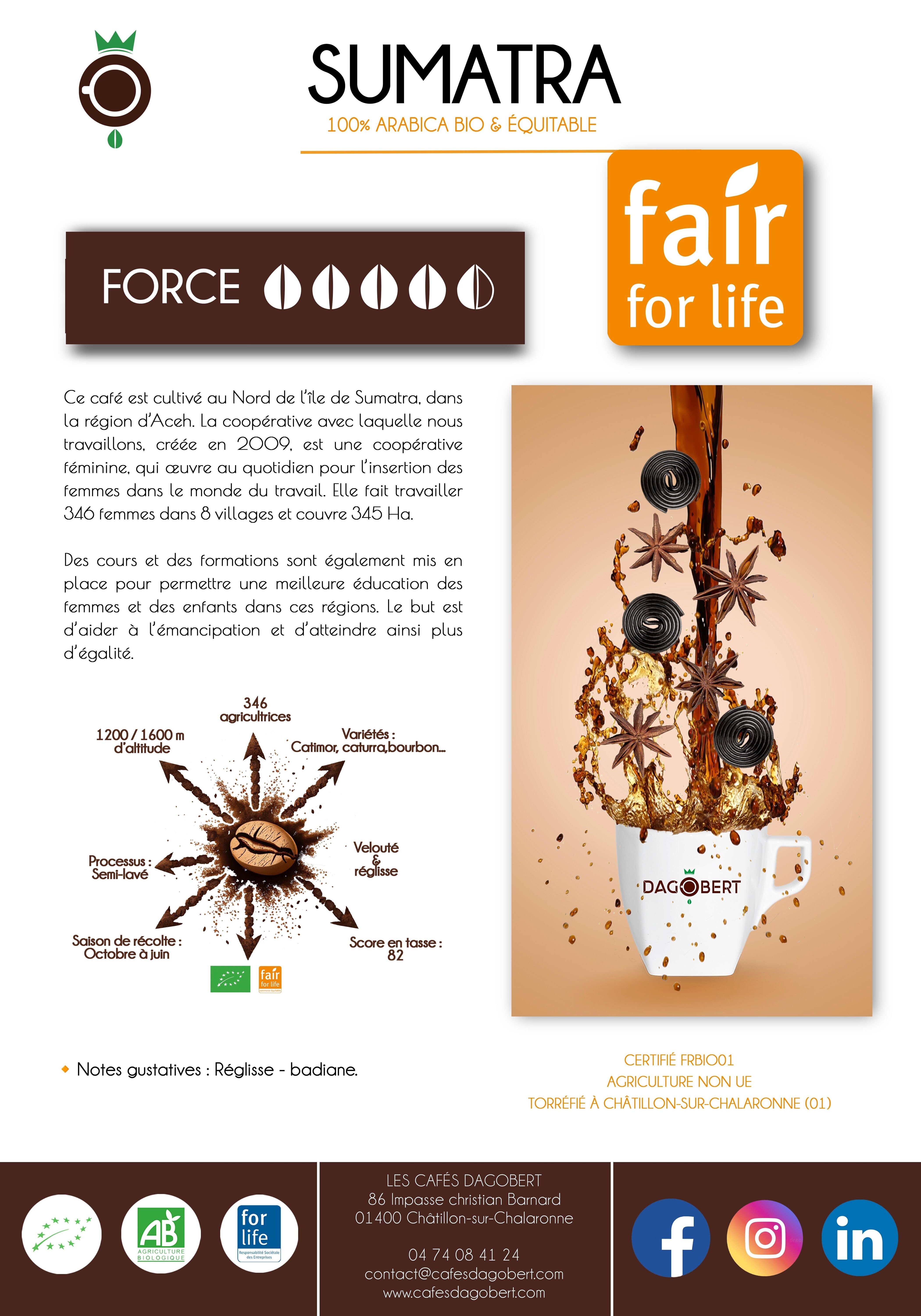 Café Sumatra Gayo Mountain Grain, orgánico y de comercio justo