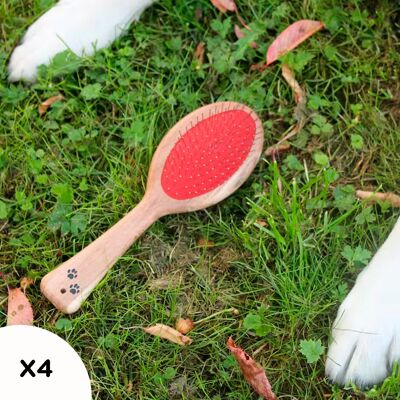 Grande brosse 2-en-1 en bois et picots métal pour toilettage des animaux