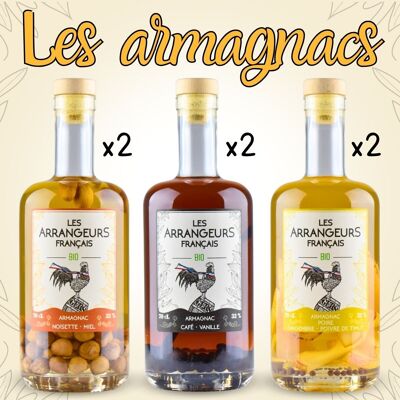 ARMAGNACS ORGÁNICOS (3 x 2 Botellas)