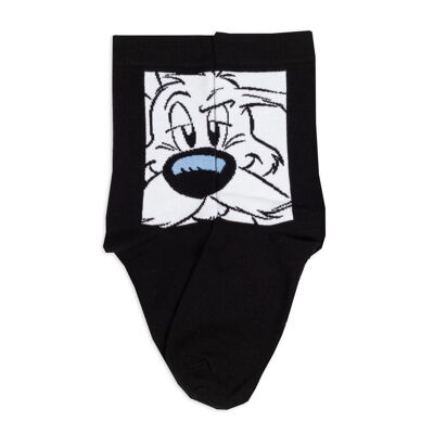 Asterix & Obelix socks - Dogmatix