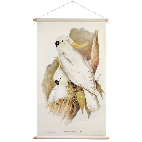 Wall cloth with Illustration of Long-billed Cockatoo - textile poster with leather cord