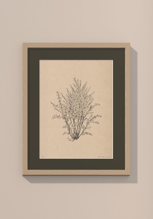 Print hazelnootboom met passe-partout en lijst | 24 cm x 30 cm | Cavolo Nero