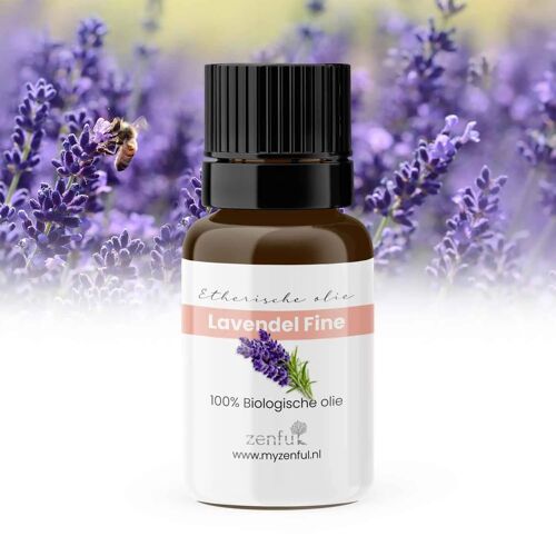 Biologische Lavendel fine Frankrijk etherische olie - 5ml