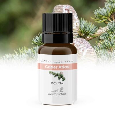 Aceite Esencial de Cedro Atlas - 5ml