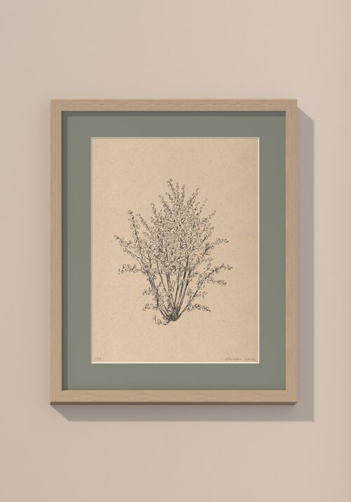 Print hazelnootboom met passe-partout en lijst | 24 cm x 30 cm | Salvia