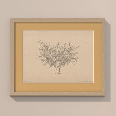 Stampa Olivo con passe-partout e cornice | 24 cm x 30 cm | noce